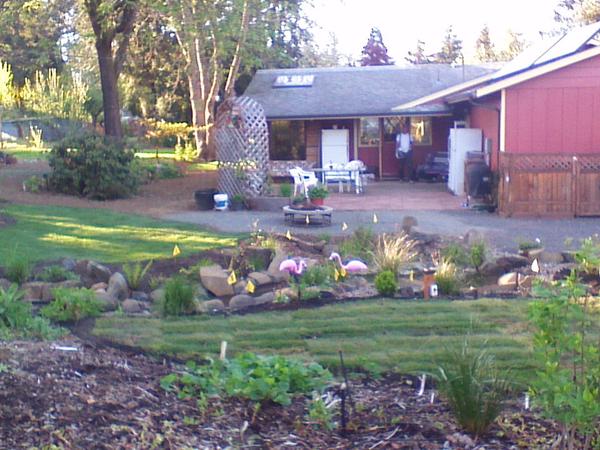 Housesitting assignment in Eugene, OR, United States
