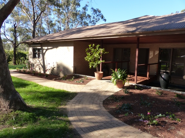 Housesitting assignment in Wentworth Falls, New South Wales, Australia