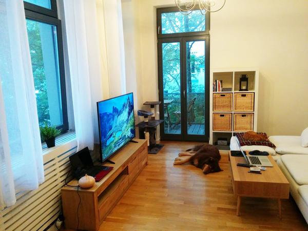 Housesitting assignment in Berlin, Germany