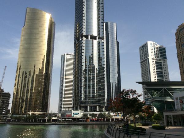 Housesitting assignment in Jumeirah Lakes, United Arab Emirates