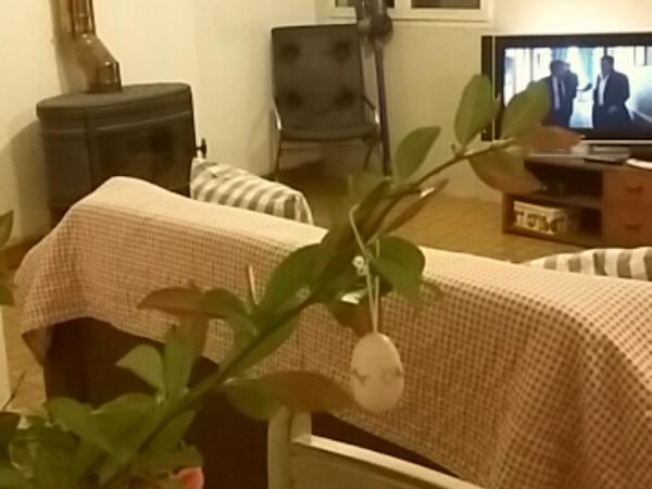 Housesitting assignment in Salon-la-Tour, France