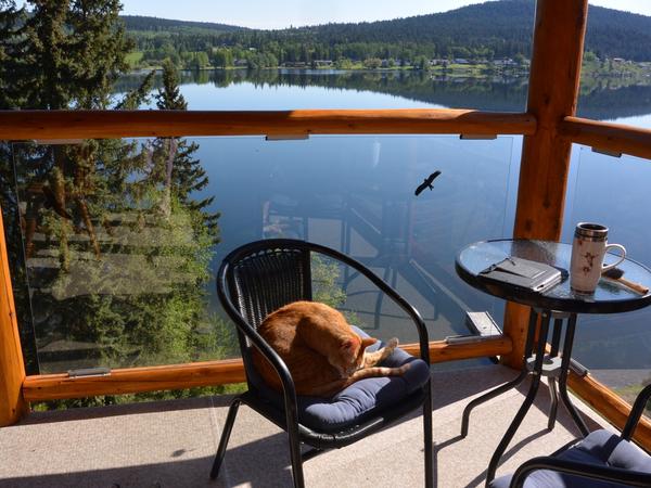 Housesitting assignment in 100 Mile House, British Columbia, Canada