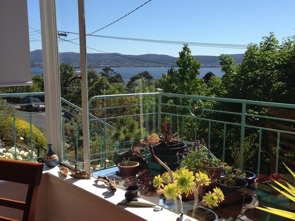 Housesitting assignment in Hobart CBD, Tasmania, Australia
