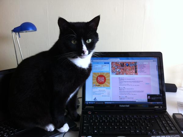 Housesitting assignment in Baildon, United Kingdom
