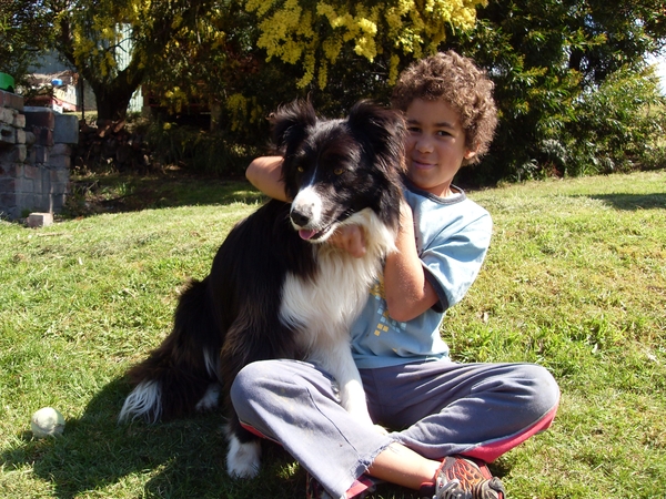 Housesitting assignment in Geeveston, TAS, Australia