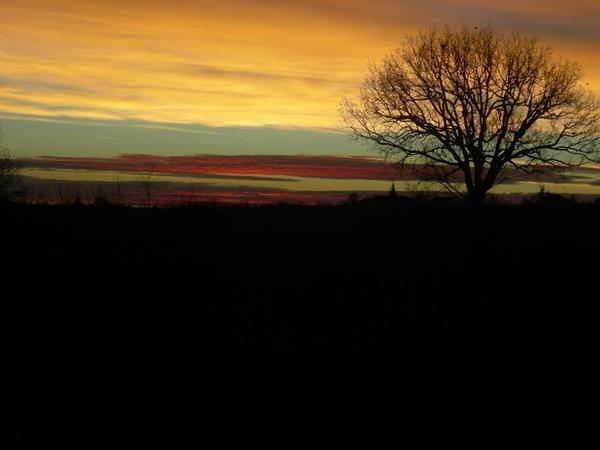 Housesitting assignment in Piacenza, Italy