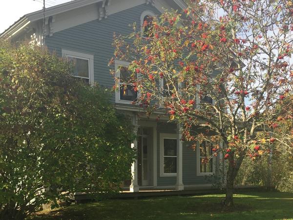 Housesitting assignment in Cuttingsville, Vermont, United States