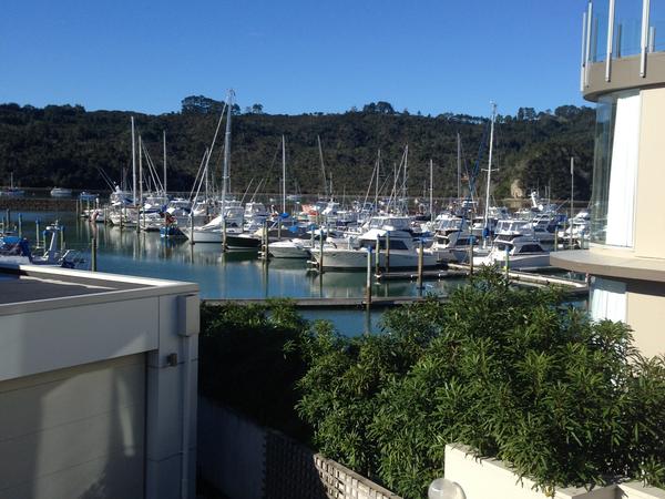 Housesitting assignment in Whitianga, New Zealand