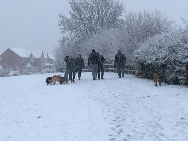 Housesitting assignment in Castleford, United Kingdom