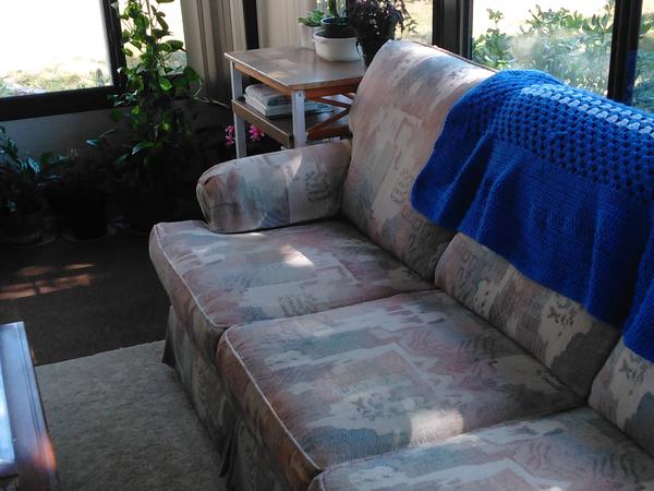 Housesitting assignment in Ocala, FL, United States