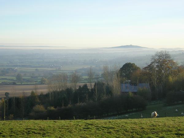 Housesitting assignment in Hereford, United Kingdom