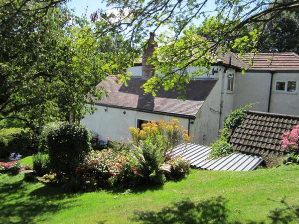Housesitting assignment in Sheffield, United Kingdom