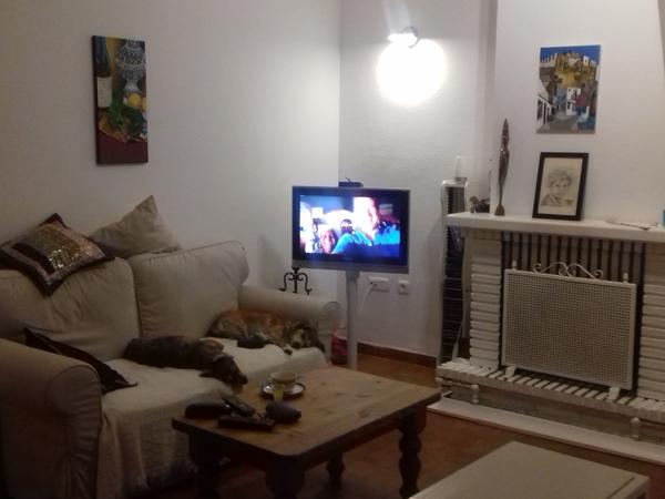 Housesitting assignment in La Línea de la Concepción, Spain