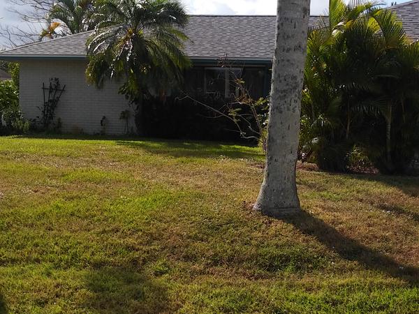 Housesitting assignment in Port Saint Lucie, FL, United States
