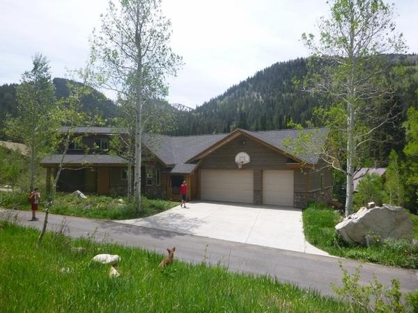 Housesitting assignment in Brighton, UT, United States
