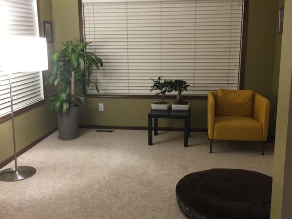 Housesitting assignment in Minneapolis, Minnesota, United States