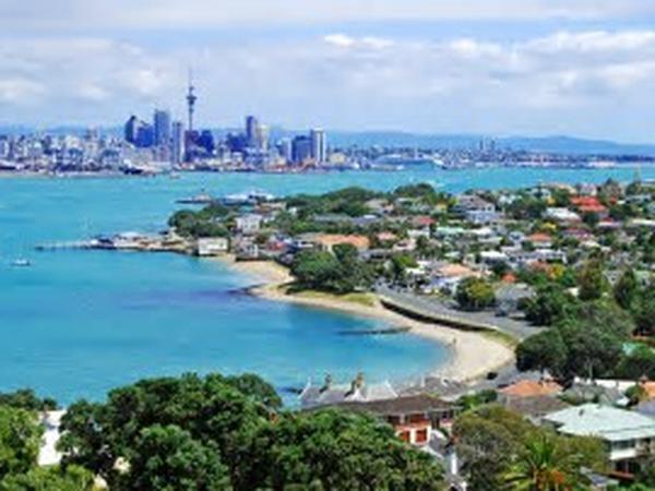Housesitting assignment in Devonport, New Zealand