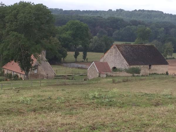 Housesitting assignment in Corbigny, France