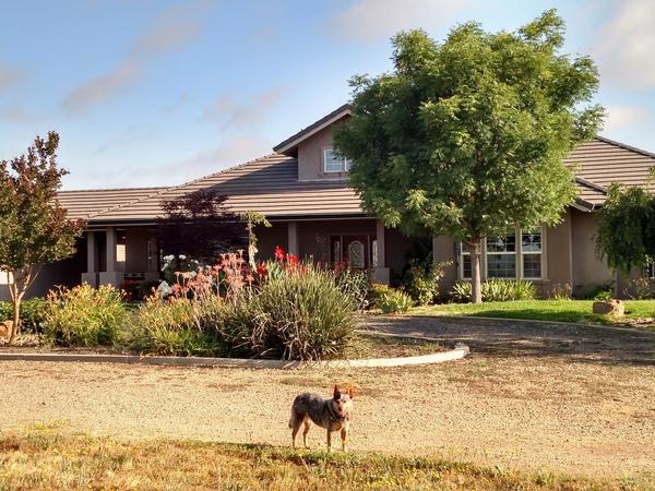 Housesitting assignment in Lodi, CA, United States
