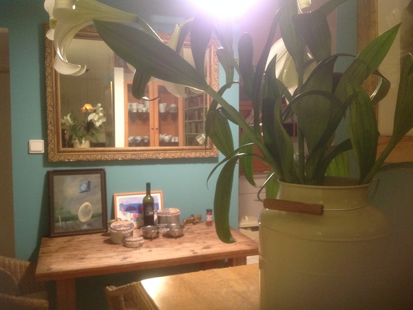 Housesitting assignment in Tel Aviv, Israel