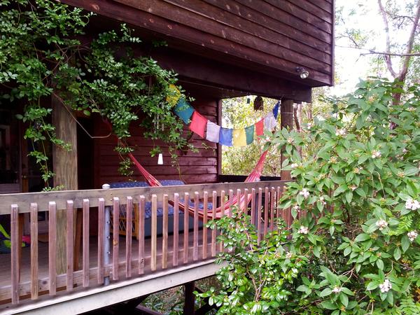 Housesitting assignment in Springwood, New South Wales, Australia