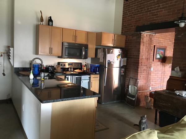 Housesitting assignment in Pittsburgh, Pennsylvania, United States