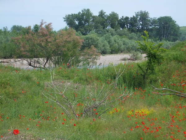 Housesitting assignment in Staroseltsi, Bulgaria