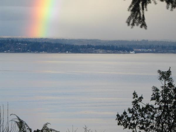 Housesitting assignment in Langley, Washington, United States