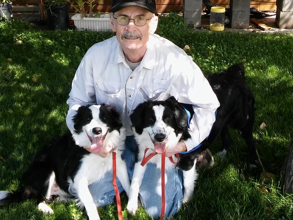 Housesitting assignment in Dolores, Colorado, United States