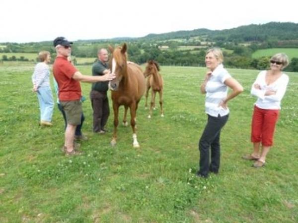 Housesitting assignment in Châteauneuf-du-Faou, France