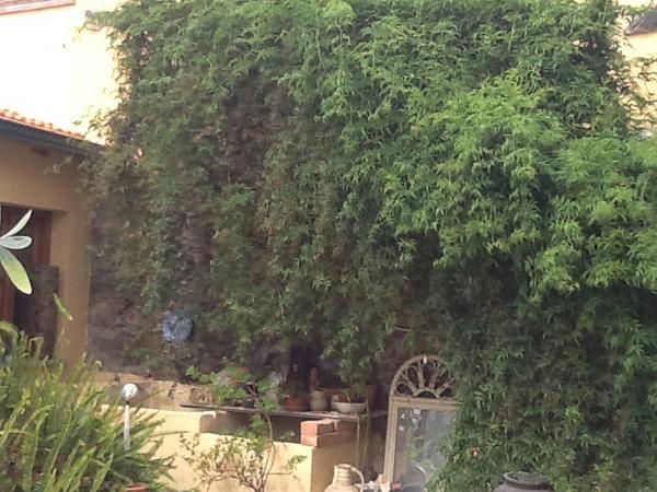 Housesitting assignment in Viseu, Portugal
