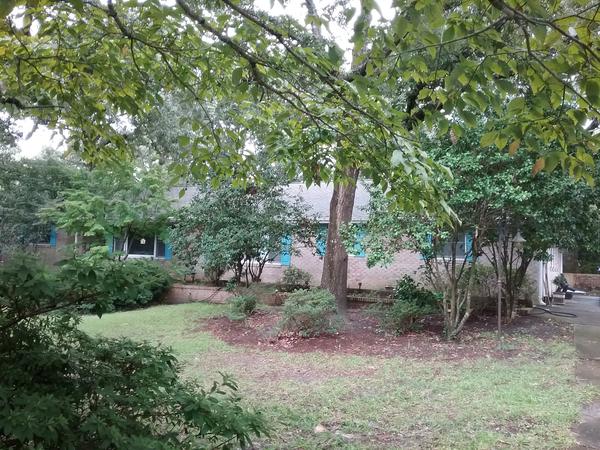 Housesitting assignment in Wilmington, North Carolina, United States