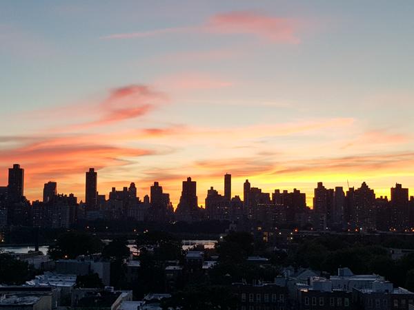 Housesitting assignment in Queens, NY, United States