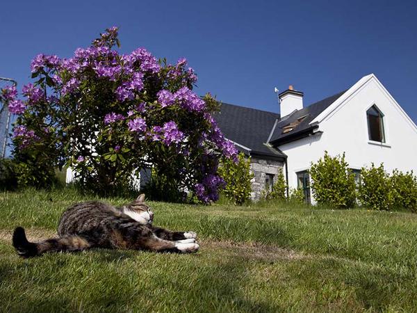 Hazel from Westport, Ireland