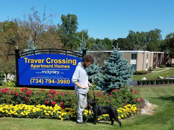 Housesitting assignment in Ann Arbor, Michigan, United States