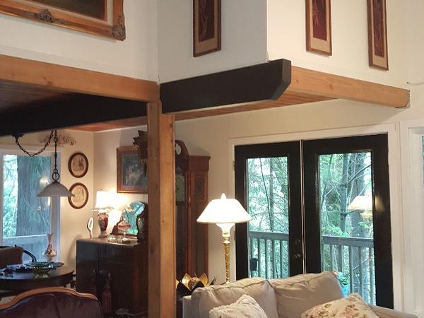 Housesitting assignment in Bellingham, WA, United States