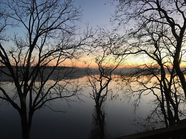 Housesitting assignment in Ann Arbor, MI, United States