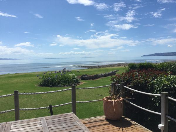 Housesitting assignment in Thames, New Zealand
