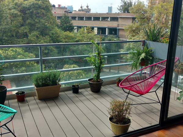 Housesitting assignment in Mexico City, Mexico