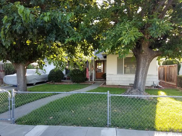 Housesitting assignment in San Jose, California, United States