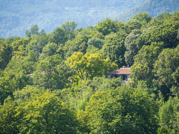 Housesitting assignment in Les Plans, France