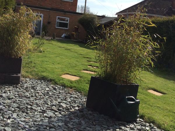 Housesitting assignment in Leicester, United Kingdom