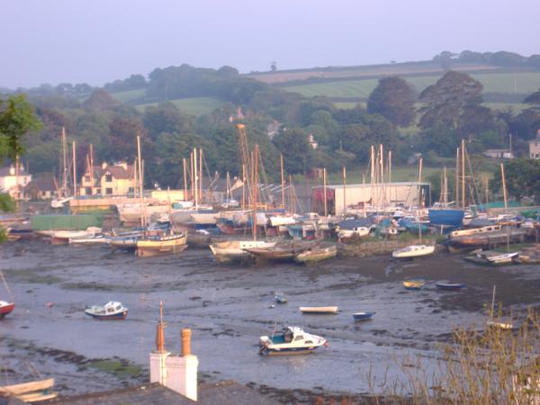 Housesitting assignment in Falmouth, United Kingdom