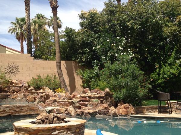 Housesitting assignment in Henderson, NV, United States