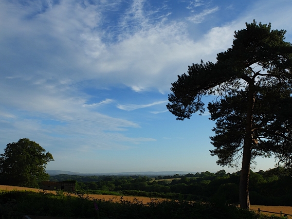 Housesitting assignment in Warbleton, United Kingdom