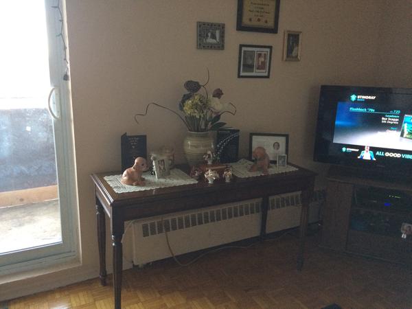 Housesitting assignment in Orangeville, Ontario, Canada