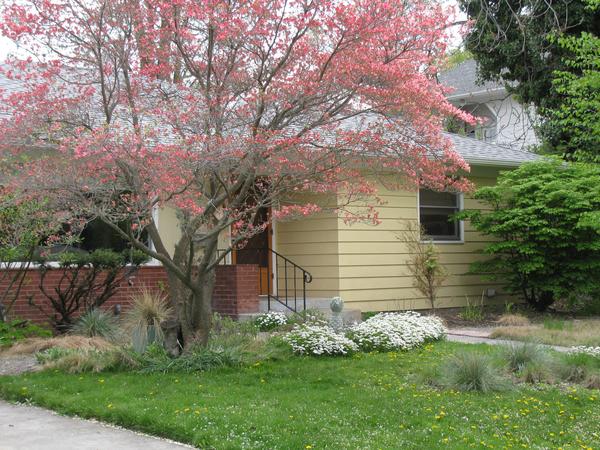 Housesitting assignment in Walla Walla, WA, United States