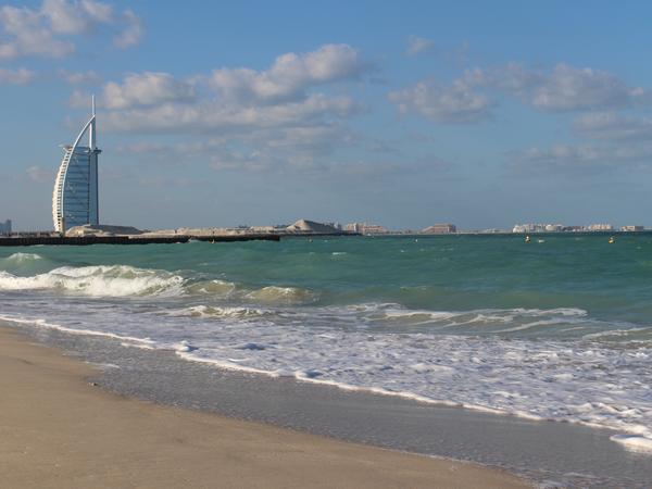 Housesitting assignment in Mowaileh Commercial, United Arab Emirates