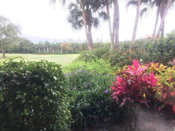 Housesitting assignment in Boynton Beach, Florida, United States