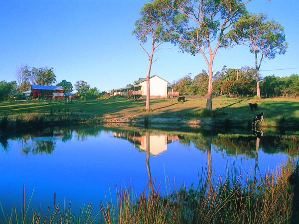Housesitting assignment in Bridport, Tasmania, Australia
